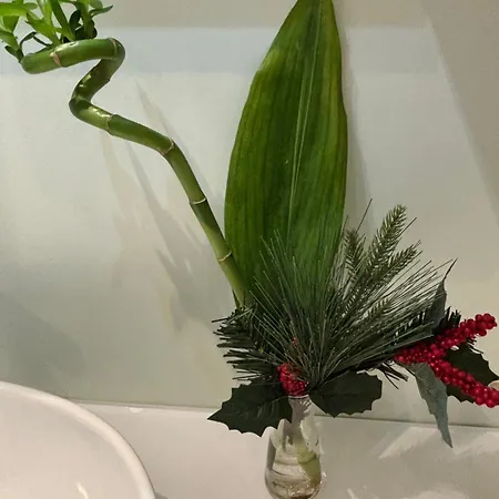 La Casa Di Beatrice E Francesca